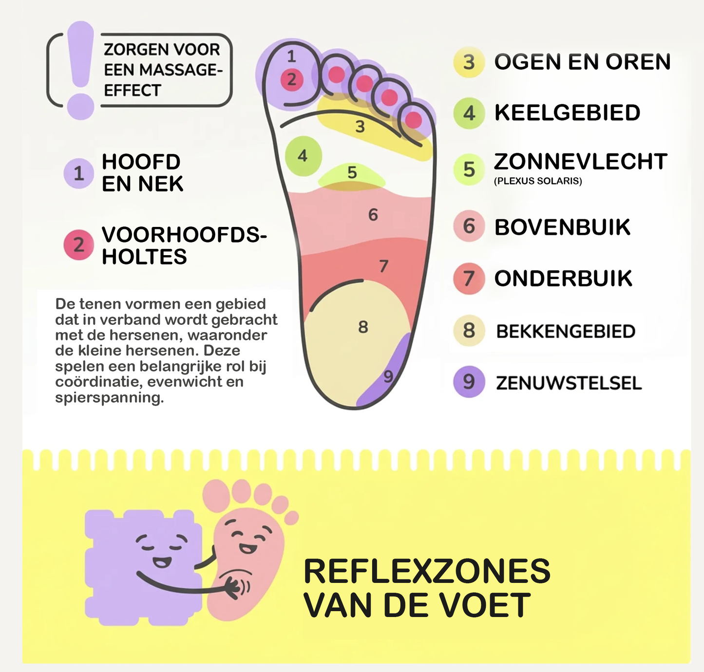 reflexzones.png__PID:3f42c6ef-ddf6-4449-ab04-ba82f523ca3d